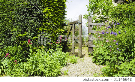 Open old wooden gate in an English summer garden Open old wooden gate in an English summer garden 31146648