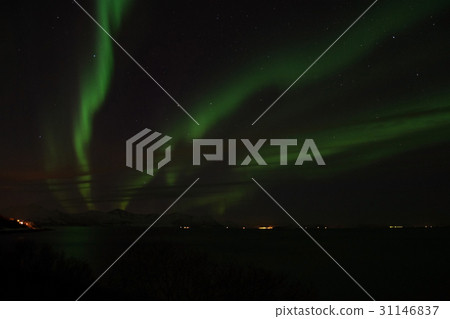 Northern Lights at Bremnes near Harstad, Norway Northern Lights at Bremnes near Harstad, Norway 31146837