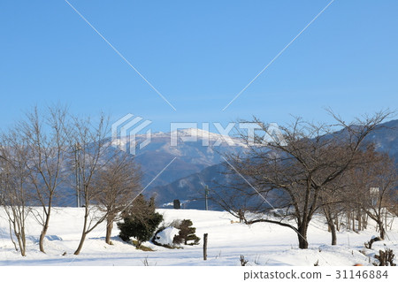 Country snow scene Country snow scene 31146884