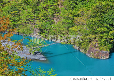 在晴朗的天氣下吊橋 31147201