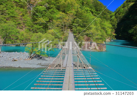 在晴朗的天氣下吊橋 31147203