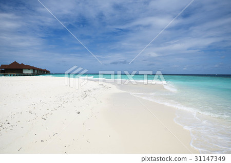 馬爾代夫海灘和水上別墅 馬爾代夫海灘和水上別墅 31147349