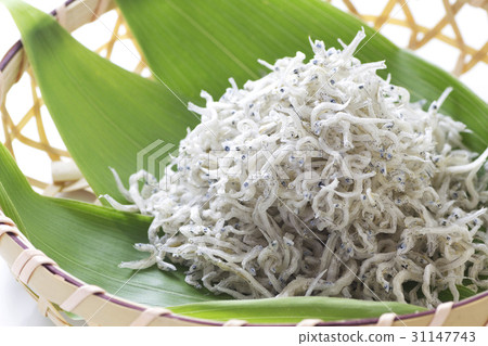 Chirimenjako 8 31147743