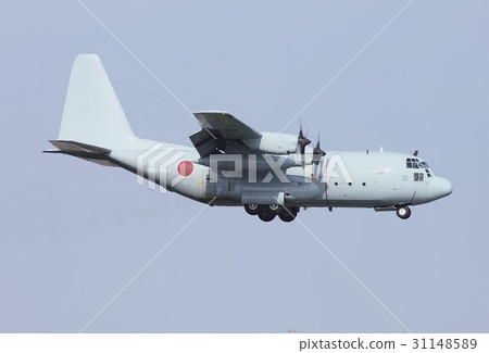 海上自衛隊C-130R大力士運輸機 31148589