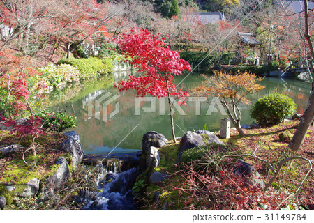 Eikan-do(京都)的秋葉 Eikan-do(京都)的秋葉 31149784