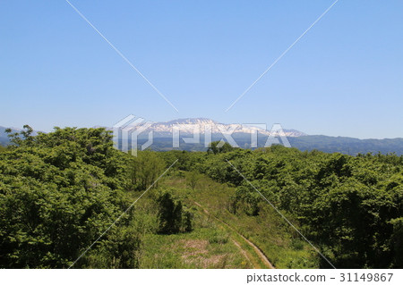 Tsukiyama with fresh snow and fresh green Tsukiyama with fresh snow and fresh green 31149867