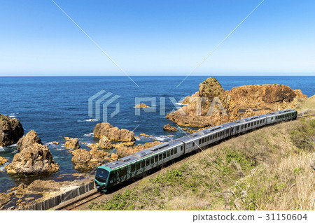 Gonen-line Resort Shirumi Buna Organization 31150604