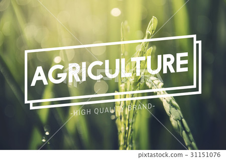 Alternative Farming Sustainable Nature Concept Alternative Farming Sustainable Nature Concept 31151076
