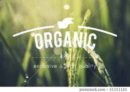 Alternative Farming Sustainable Nature Concept Alternative Farming Sustainable Nature Concept 31151183