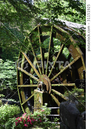 Hydroelectric power in the forest sdgs, sustainable, sustainable, carbon neutral, decarbonized Hydroelectric power in the forest sdgs, sustainable, sustainable, carbon neutral, decarbonized 31151925