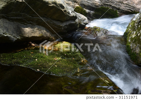 Mountain stream of Katsuura River Mountain stream of Katsuura River 31151971