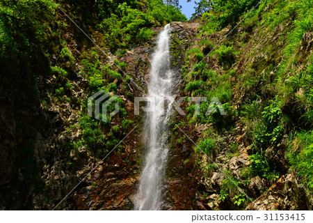 Hakodate Imabari Falls 31153415