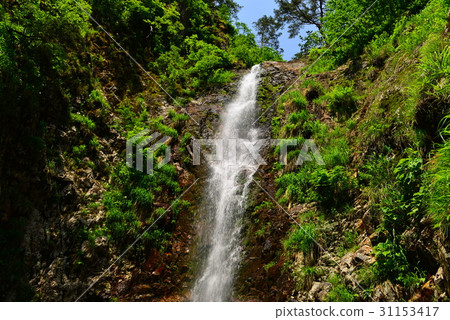 Hakodate Imabari Falls 31153417