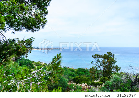 Sea view from the park Cavo Greco 31158087