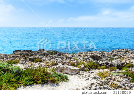 Rocky coast in Ayia Napa 31158099