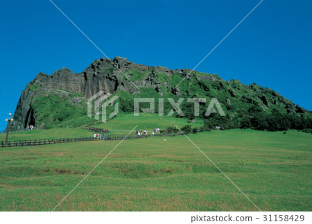 濟州島Udo 31158429