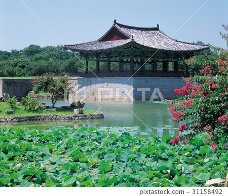 Anapji, Gyeongju 31158492