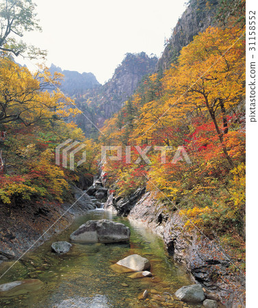 Sorak Mountain, Gangwon Province 31158552