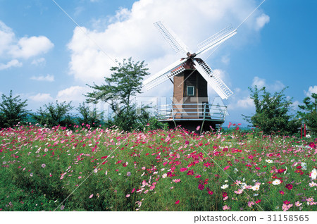 windmill 31158565