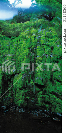 Tamra Valley,Mt。Halla,濟州島 Tamra Valley,Mt。Halla,濟州島 31158566