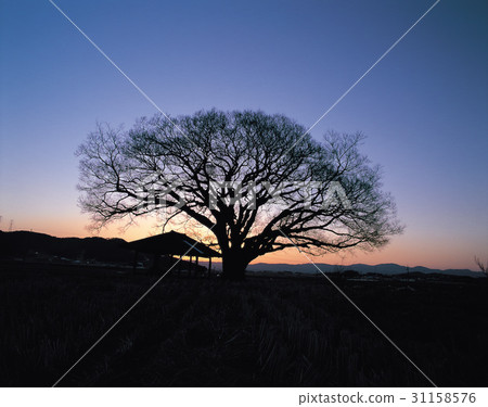 Gonhang-gun,Jeonbuk Gonhang-gun,Jeonbuk 31158576