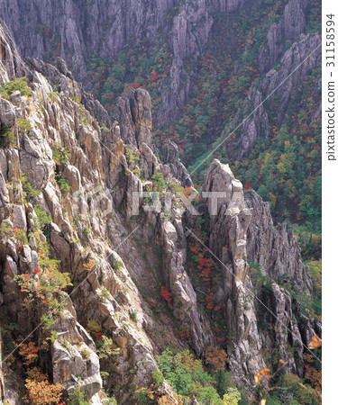 江原道雪嶽山 江原道雪嶽山 31158594