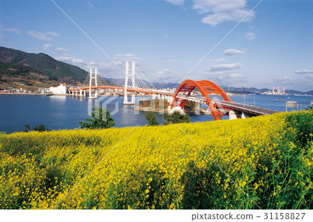 Samchonpo Bridge, Chosang Bridge, Chosang Bypass, Hallyeo Marine National Park, Sacheon, Gyeongnam 31158827