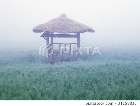 大麥場，小屋，gakwon農場，高敞郡，全北 31158835