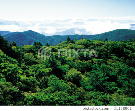 Deogyusan, Muju-gun, Jeonbuk Deogyusan, Muju-gun, Jeonbuk 31158901