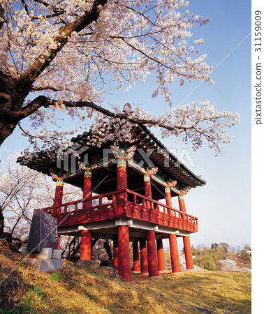 慶南郡河東郡 慶南郡河東郡 31159009