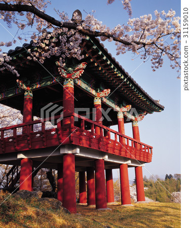 慶南郡河東郡 31159010