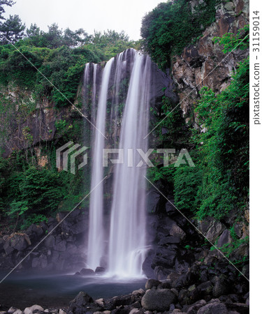 Jeongbang瀑布，西歸浦市，濟州島 31159014