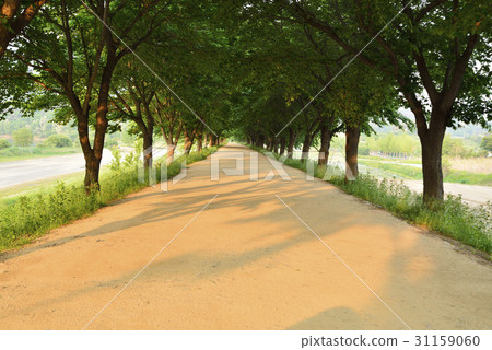 Hahoe Village, Andong City, Gyeongbuk 31159060