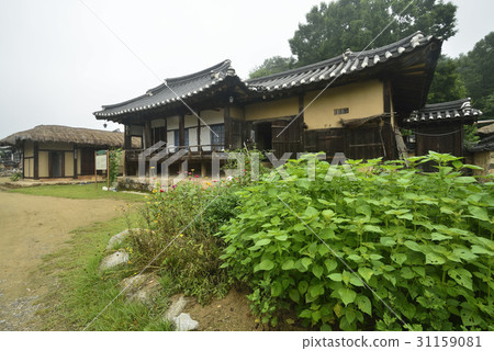 Mousse Village, Yeongju City, Gyeongbuk Province Mousse Village, Yeongju City, Gyeongbuk Province 31159081