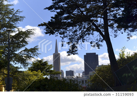 Transamerica Pyramid, San Francisco, California, United States Transamerica Pyramid, San Francisco, California, United States 31159093