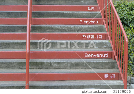 Golden Gate Bridge, San Francisco, California, USA 31159096