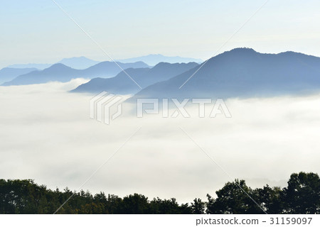 Baekwoon Mountain, Gwangyang City, Jeonnam 31159097