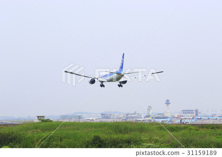 Ana Air,Gimpo Airport,Gangseo-gu,Seoul Ana Air,Gimpo Airport,Gangseo-gu,Seoul 31159189