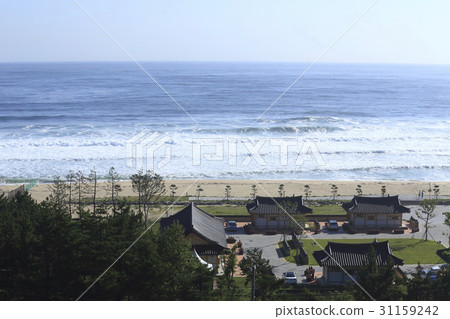 Dojis海灘，東海市，江原道 31159242
