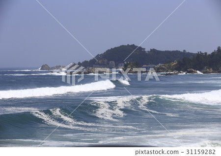 Jangheung Port, Samcheok City, Gangwon Province 31159282