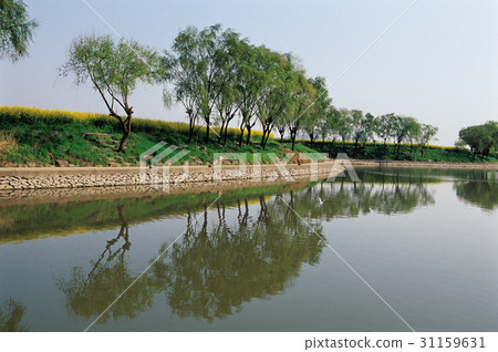 Banpo, Seocho-gu, Han River, Seoul 31159631