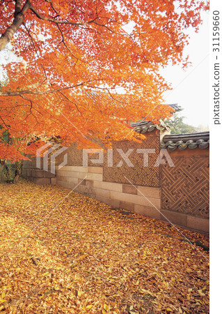 Changdeok Palace, Jongno-gu, Seoul 31159660