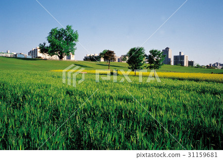 Olympic Park, Songpa-gu, Seoul 31159681