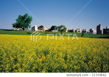 Olympic Park, Songpa-gu, Seoul 31159682