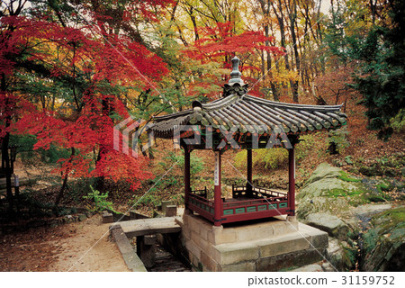 Changdeok Palace, Jongno-gu, Seoul 31159752