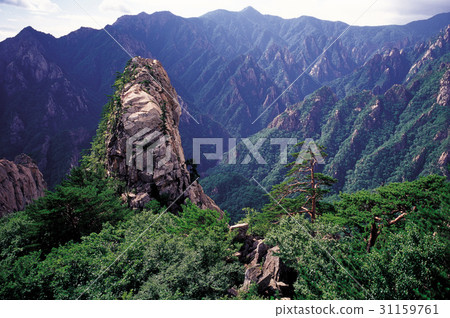 Mudeungryeong, Soraksan, Sokcho, Gangwon-do Mudeungryeong, Soraksan, Sokcho, Gangwon-do 31159761