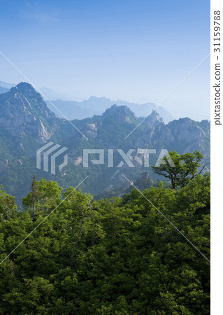 Dinosaur Ridge, Soraksan, Sokcho, Gangwon-do Dinosaur Ridge, Soraksan, Sokcho, Gangwon-do 31159788