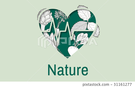 Balance Health Living Lifestyle Vatality Wellness 31161277