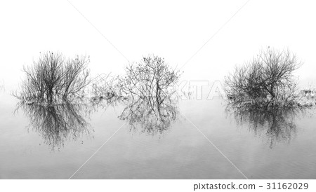 江原道春川市邵陽河 31162029