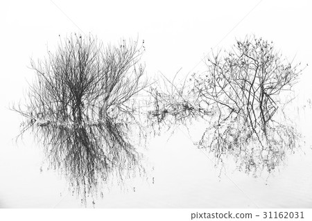 江原道春川市邵陽河 31162031